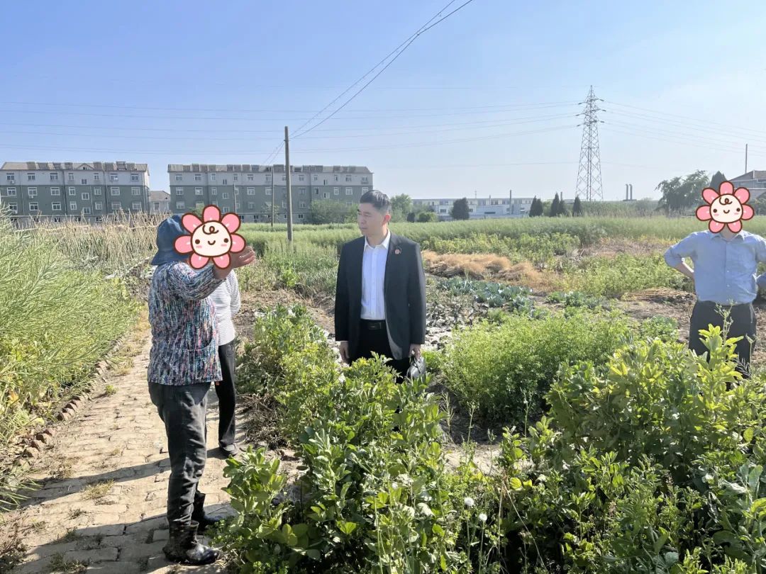 从剑拔弩张到握手言和—— 海陵法院田间破局彰显司法智慧
