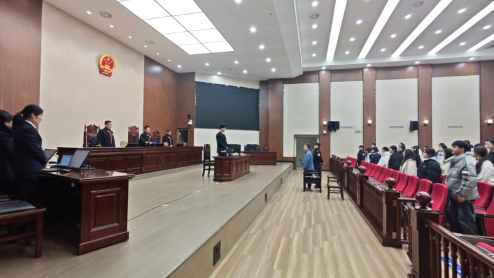 以案释法敲警钟 惩防并举强治理——泰州中院刑二庭利用公开庭上好新春法治课